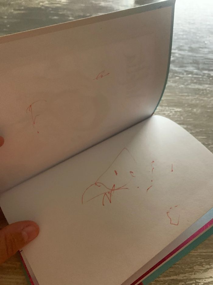 La bibliothèque rose Disney Violetta - photo numéro 3