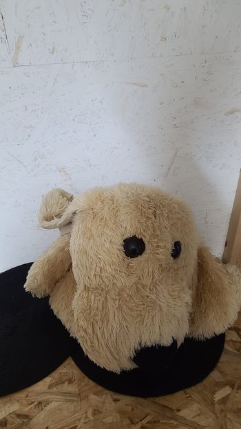 Peluche doudou chien beige yeux et nez noir Bukowski 40 cm