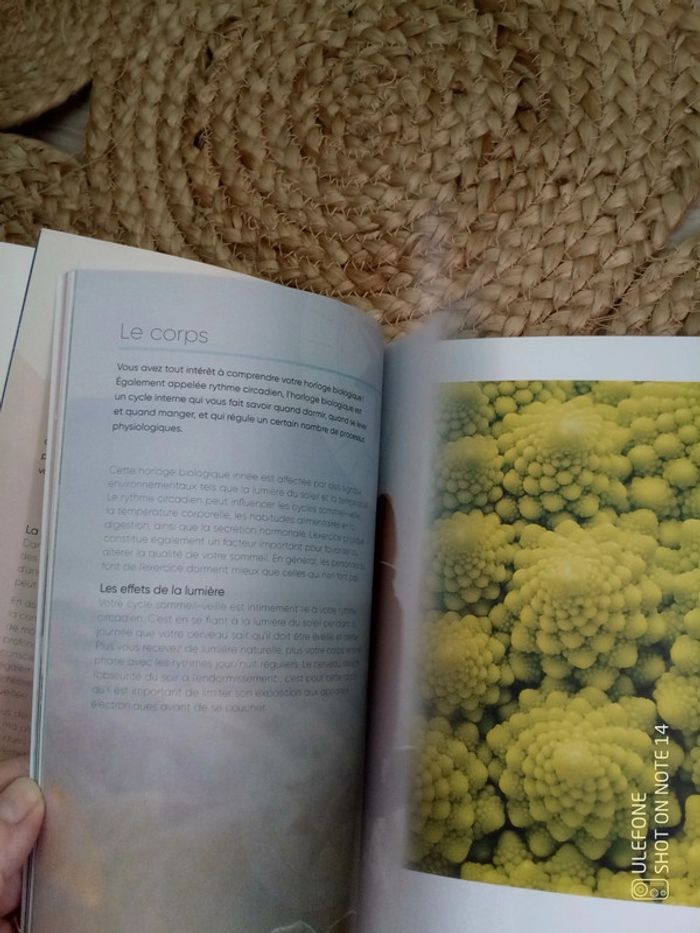 Les rêves connectez vous à vos rêves pour enrichir votre vie - photo numéro 9