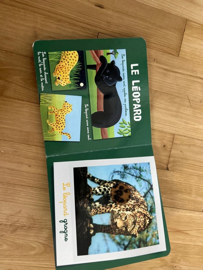 Livre Les animaux de la savane - photo numéro 5
