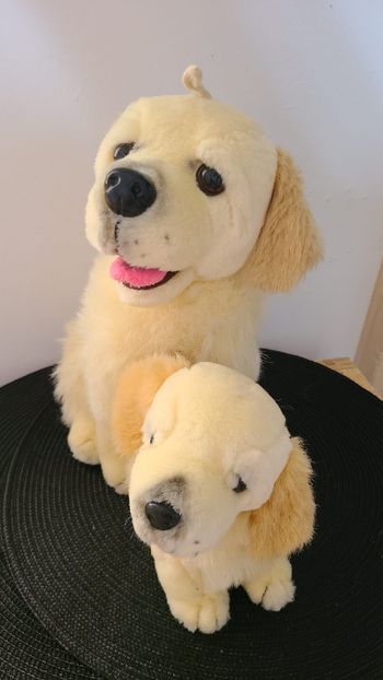 Peluche chien écru beige avec petit