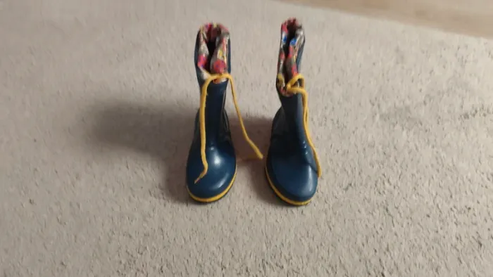 Bottes - photo numéro 3