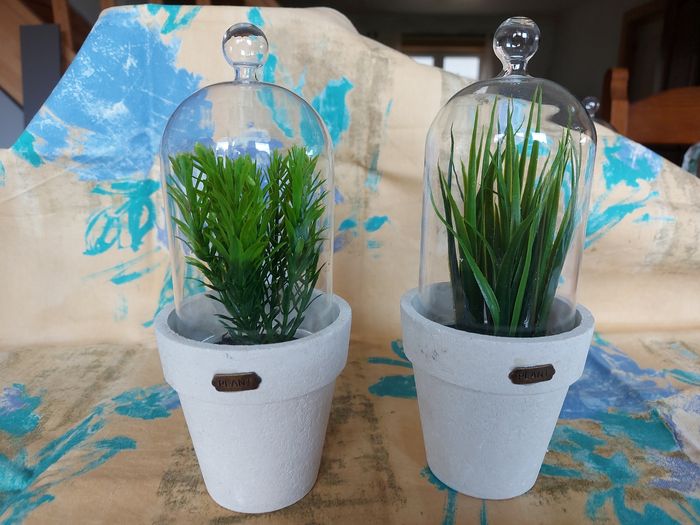 Plantes artificielles