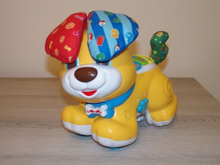 Bibou le chien qui fait coucou - photo numéro 3