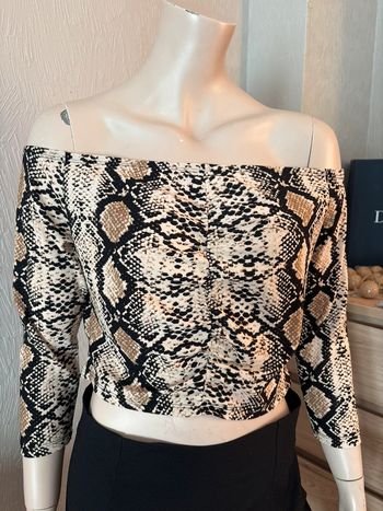 Haut écailles serpent