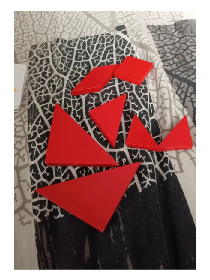 gros vide dressing. reduction active pour les lots Tangrame - photo numéro 3