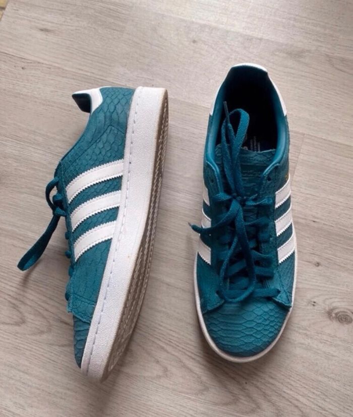 Basket campus - photo numéro 2