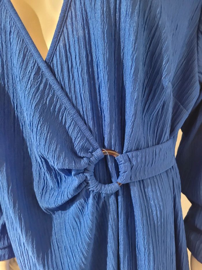 Robe bleue - photo numéro 3