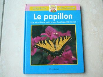 Livre enfant « Gros plan sur la nature : Le papillon »