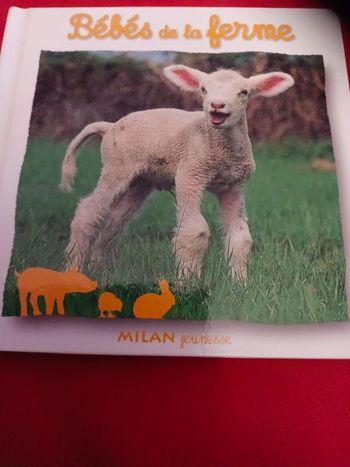 Livre enfant 2-5 ans