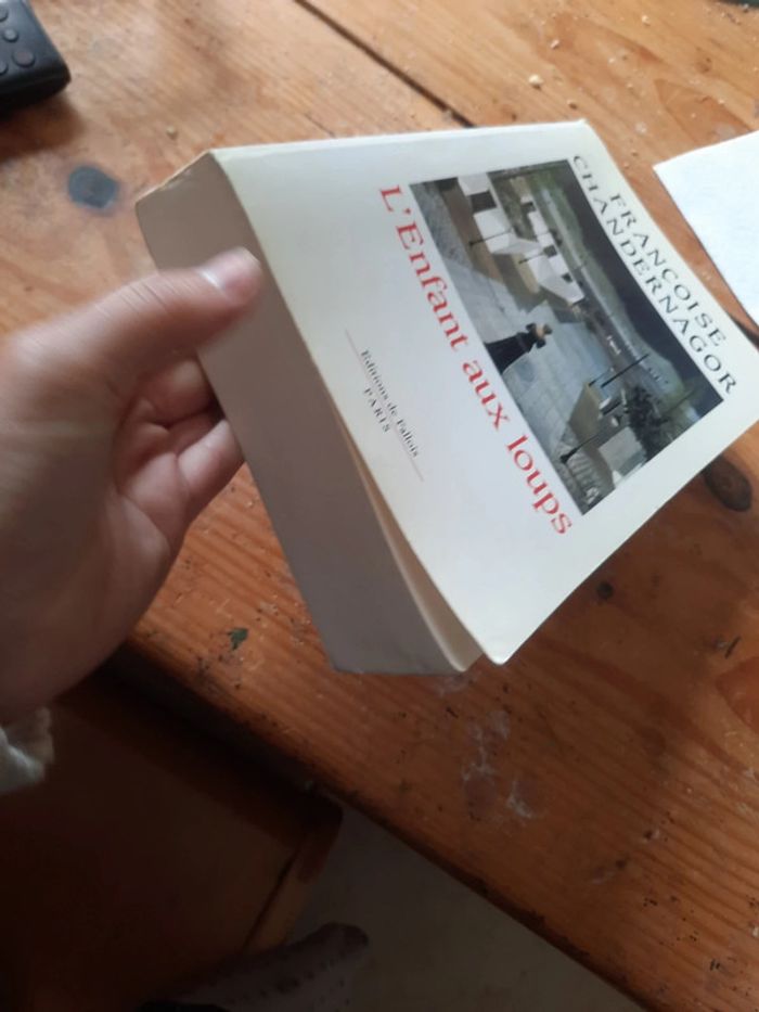 Gros livre l'enfant au loups - photo numéro 3