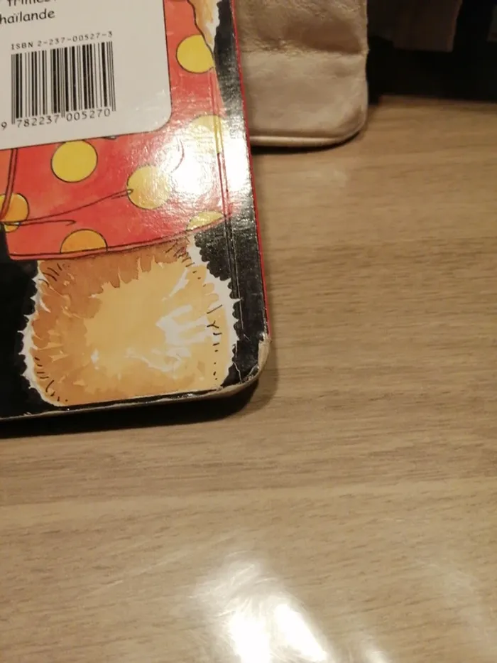 Livre - photo numéro 8