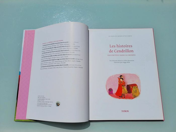 Très beau livre grand format Le histoires de Cendrillon racontées dans le monde 44 - photo numéro 2
