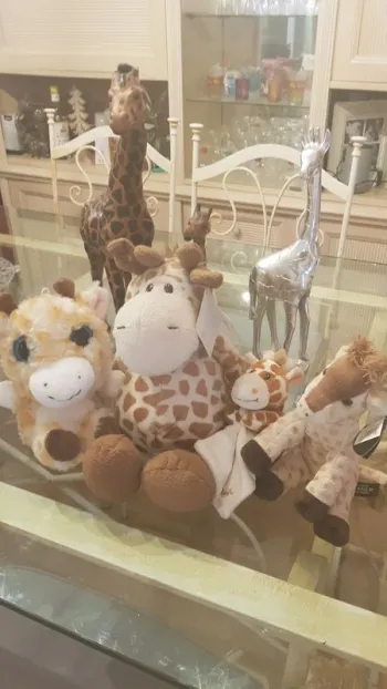 Lot Girafes