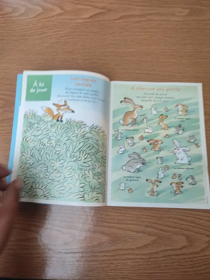 Livre youpi l'attaque du château Fort - photo numéro 11
