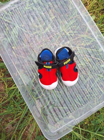 Chaussure puma