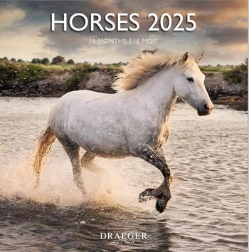⭐ Calendrier 2025 #emyfleury_calendriers