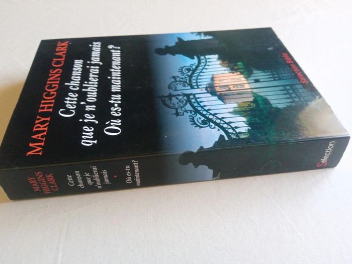 Cette chanson que je n'oublierai jamais - Où es-tu maintenant ? - photo numéro 4