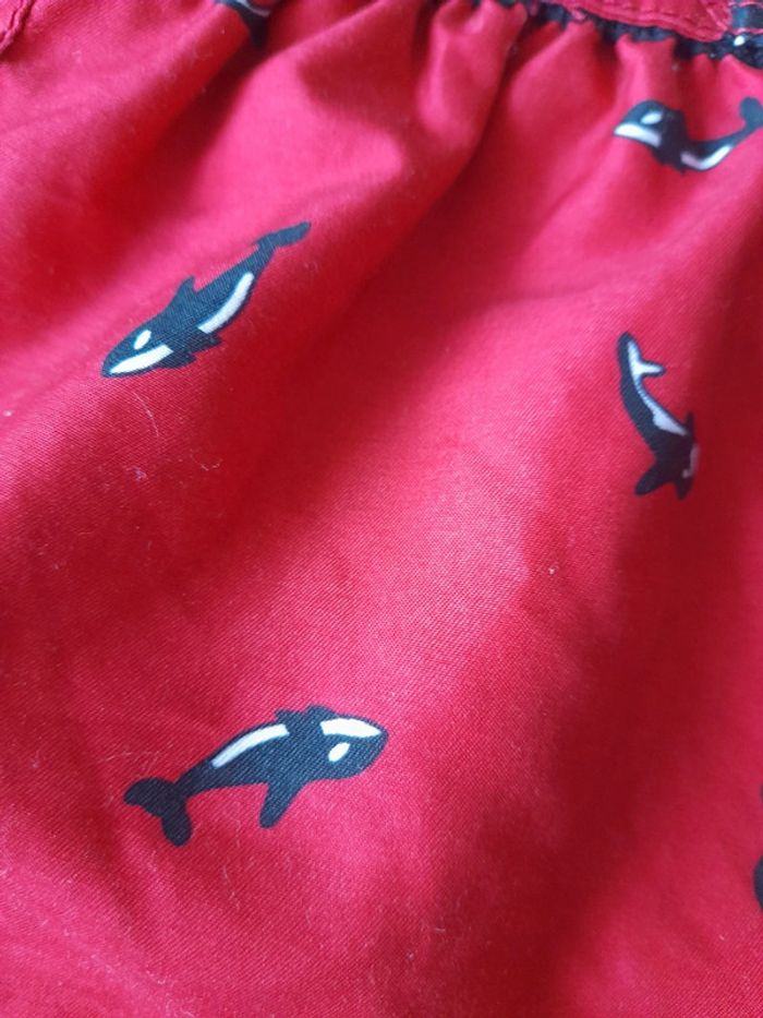 Shorts poissons - photo numéro 10