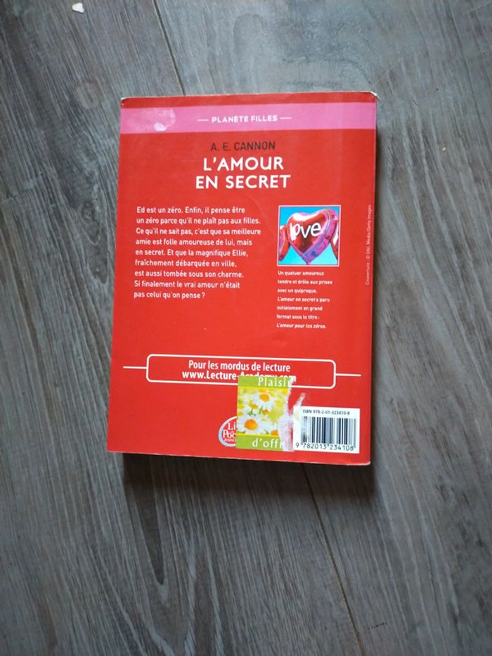 L'amour en secret - photo numéro 2