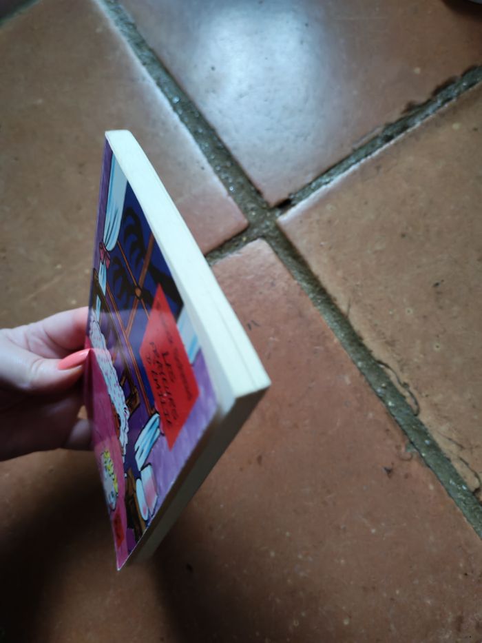 Les Frayeurs d'Emilie, livre de Franck Schmid - photo numéro 5