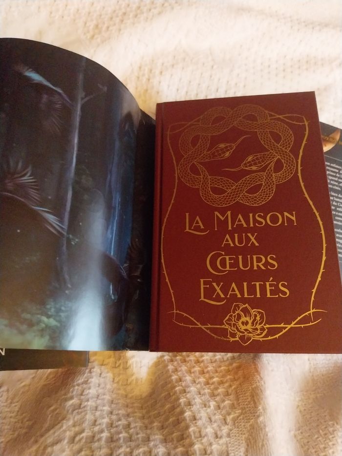 Romans Le Royaume des Corbeaux tomes 1 à 3 Reliés Collectors Olivia Wilderstein Korrigan - photo numéro 10