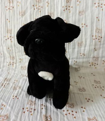 Peluche chien Playkids