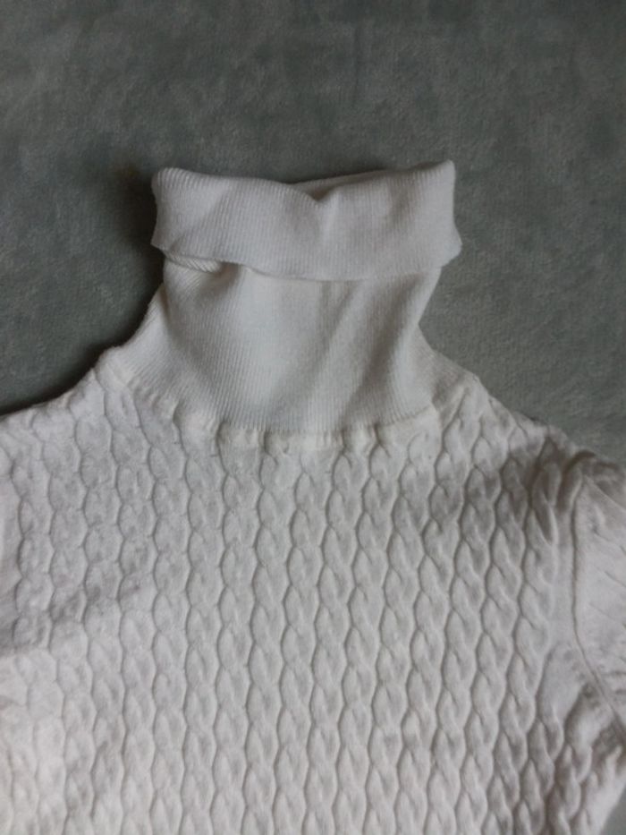 Pull fin col rouler - photo numéro 5