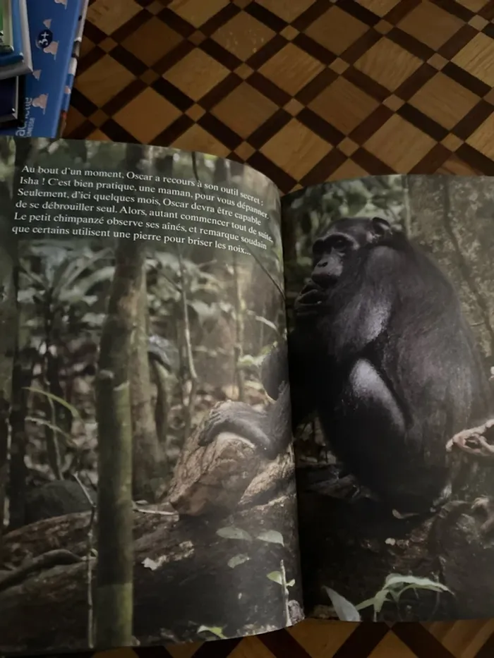 Livre Disneynature Chimpanzés - photo numéro 4