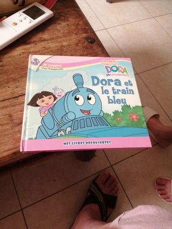 Livre pages transparentes Dora l'exploratrice