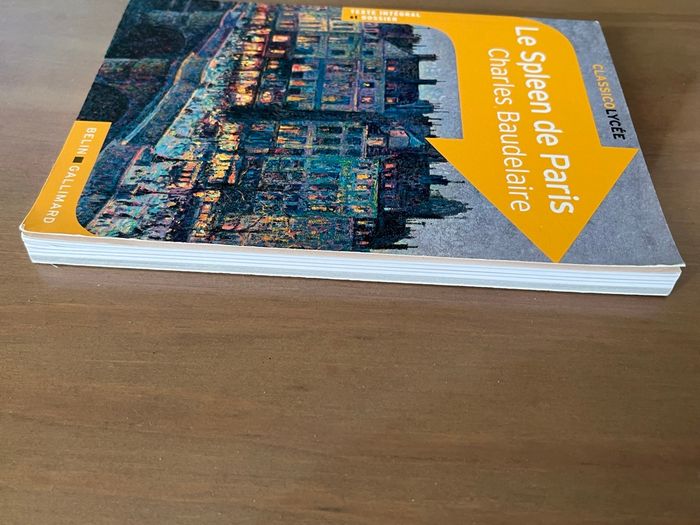 Le Spleen de Paris Charles Baudelaire Belin Gallimard - photo numéro 3