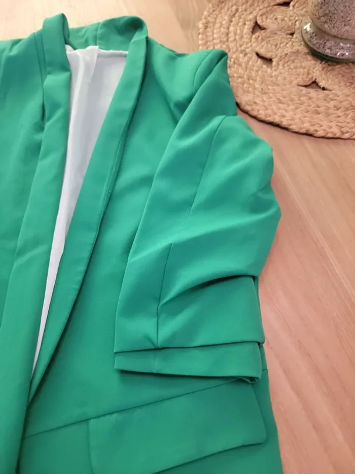 Veste verte - photo numéro 2