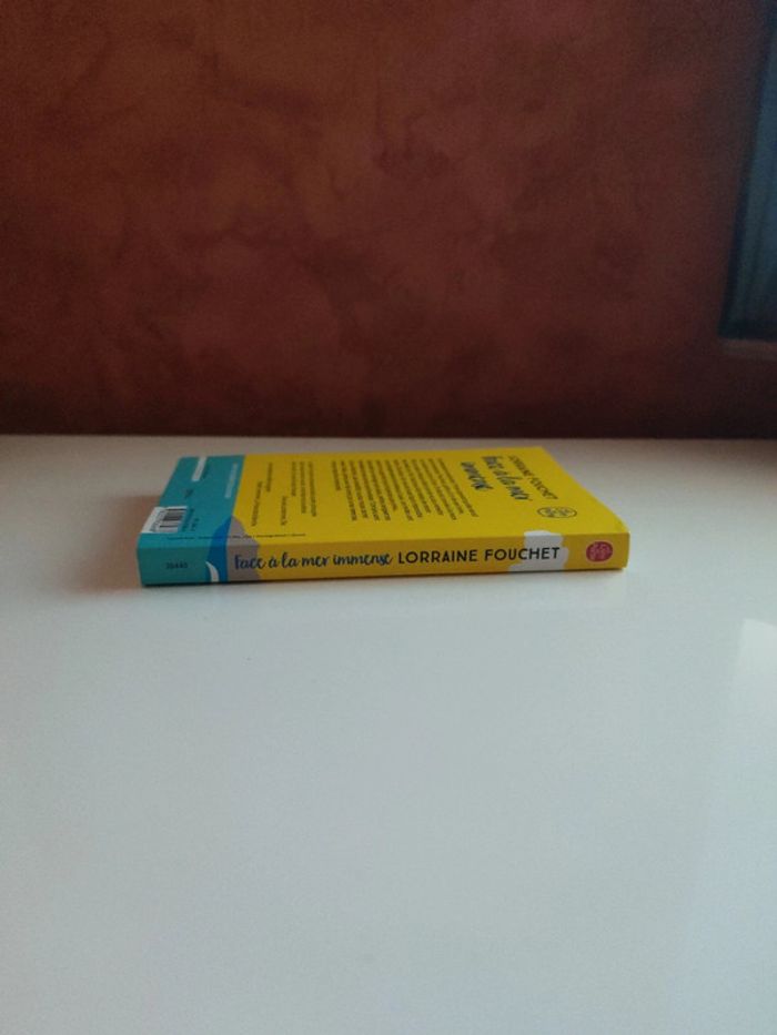 Face à la mer immense - photo numéro 3