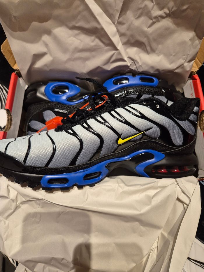 Tn 44 grise - photo numéro 2