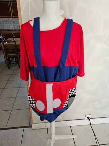 Déguisement voiture