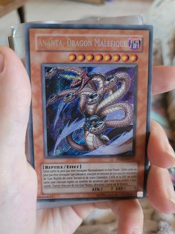 Carte ananta dragon maléfique