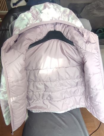 Doudoune the North face