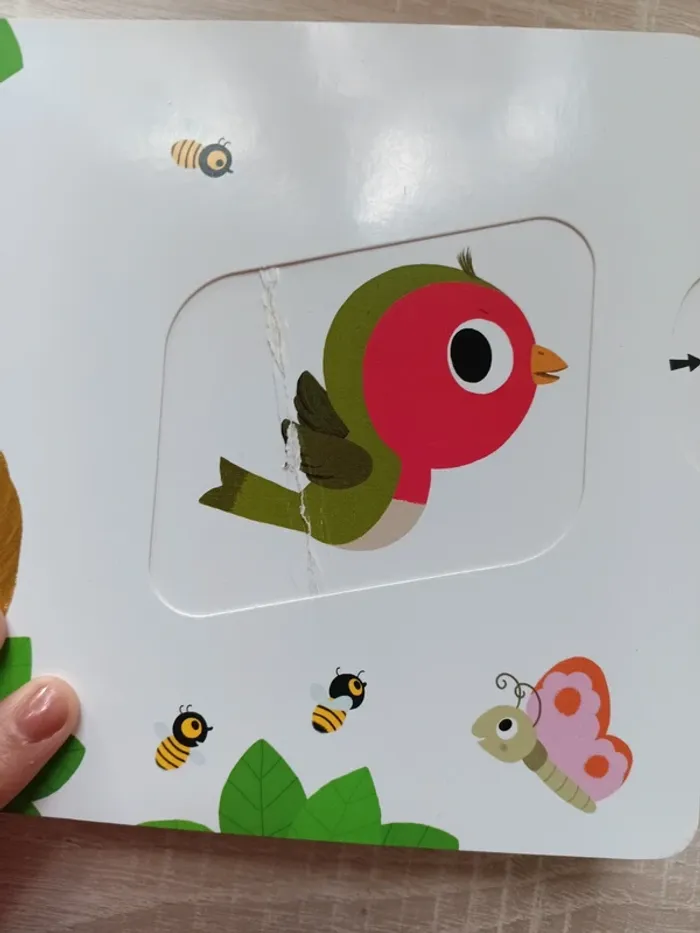 Bonjour petit oiseau kididoc - photo numéro 5