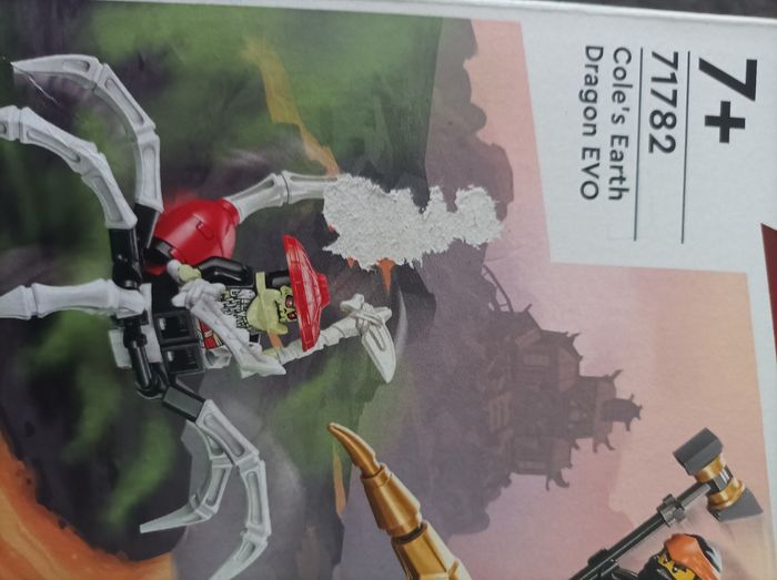 Lot Lego Ninjago et Moto Lego Technic - photo numéro 10