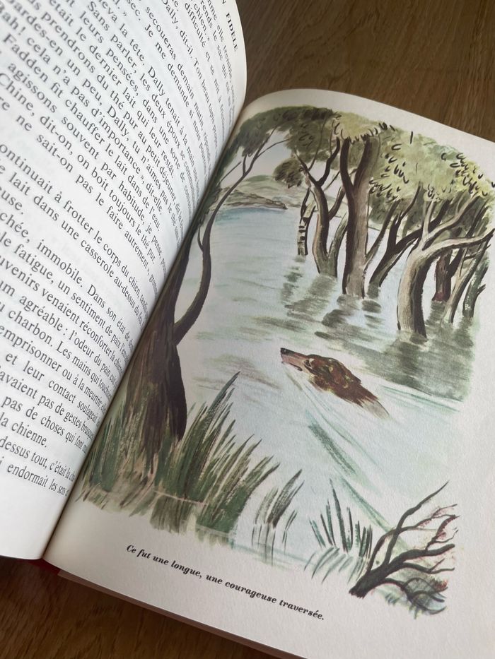 Lassie, chien fidèle - photo numéro 7