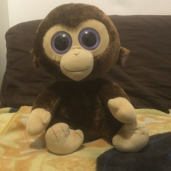 Peluche ty