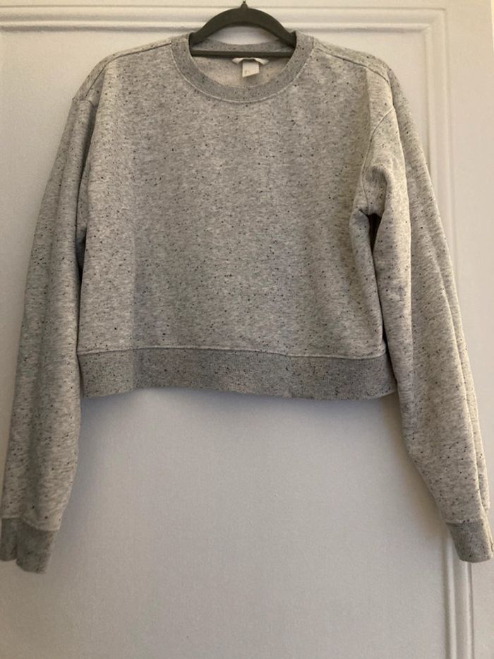 Sweat court gris
