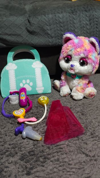 Rainbow mon chiot bobo vtech