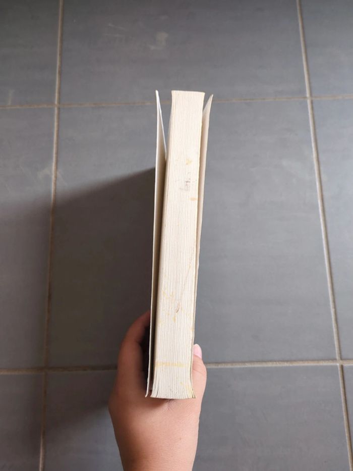 Livre la fille du diable - photo numéro 5