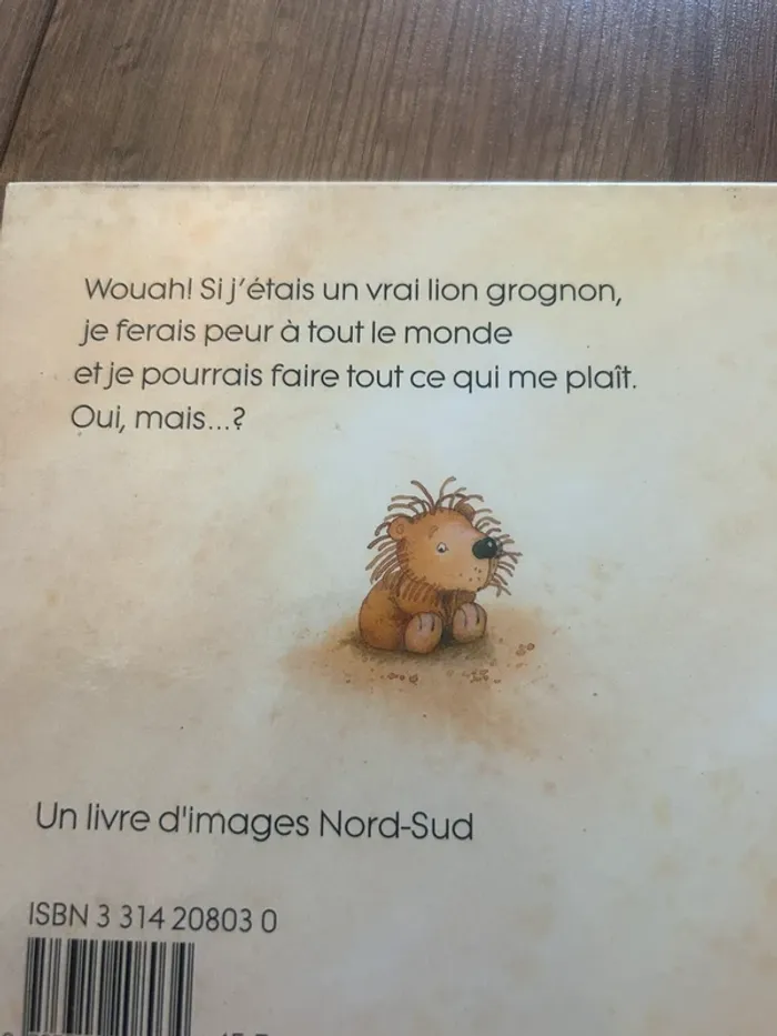Et si j'étais un lion - photo numéro 3