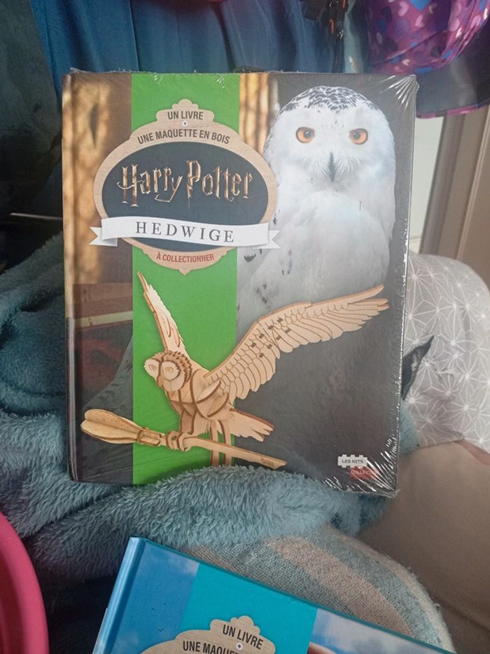 Livre et maquette Harry Potter