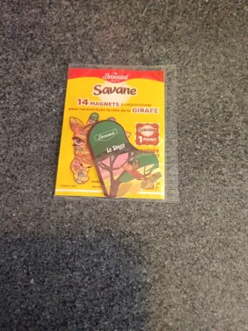 Magnet tête de girafe savane