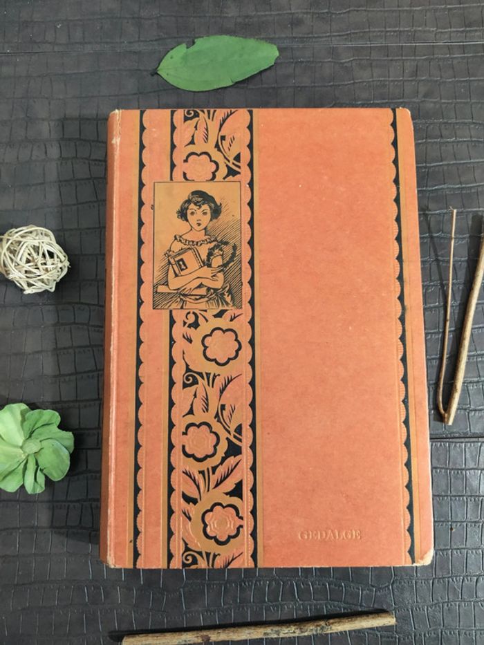 Les Robinsons français - Pierre Delcourt / Livre ancien 1926 - photo numéro 3