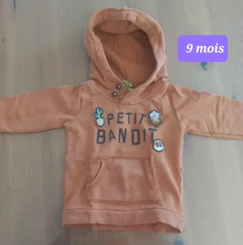 Sweat à capuche 9 mois