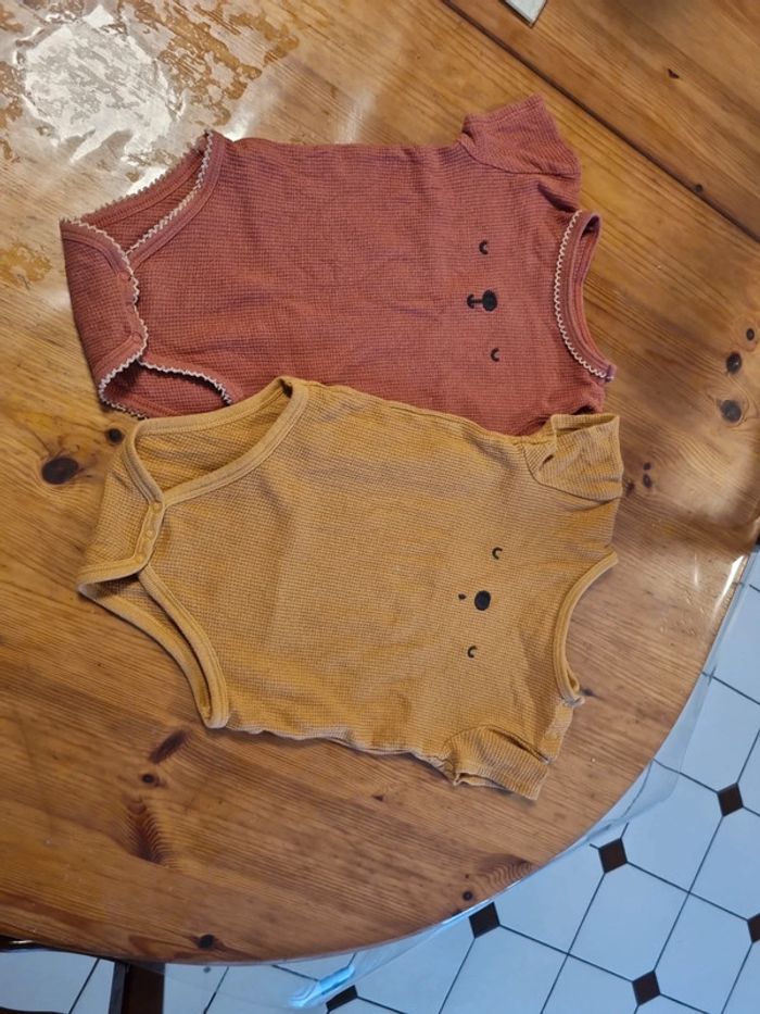 2 bodies manche courte 24 mois - photo numéro 2